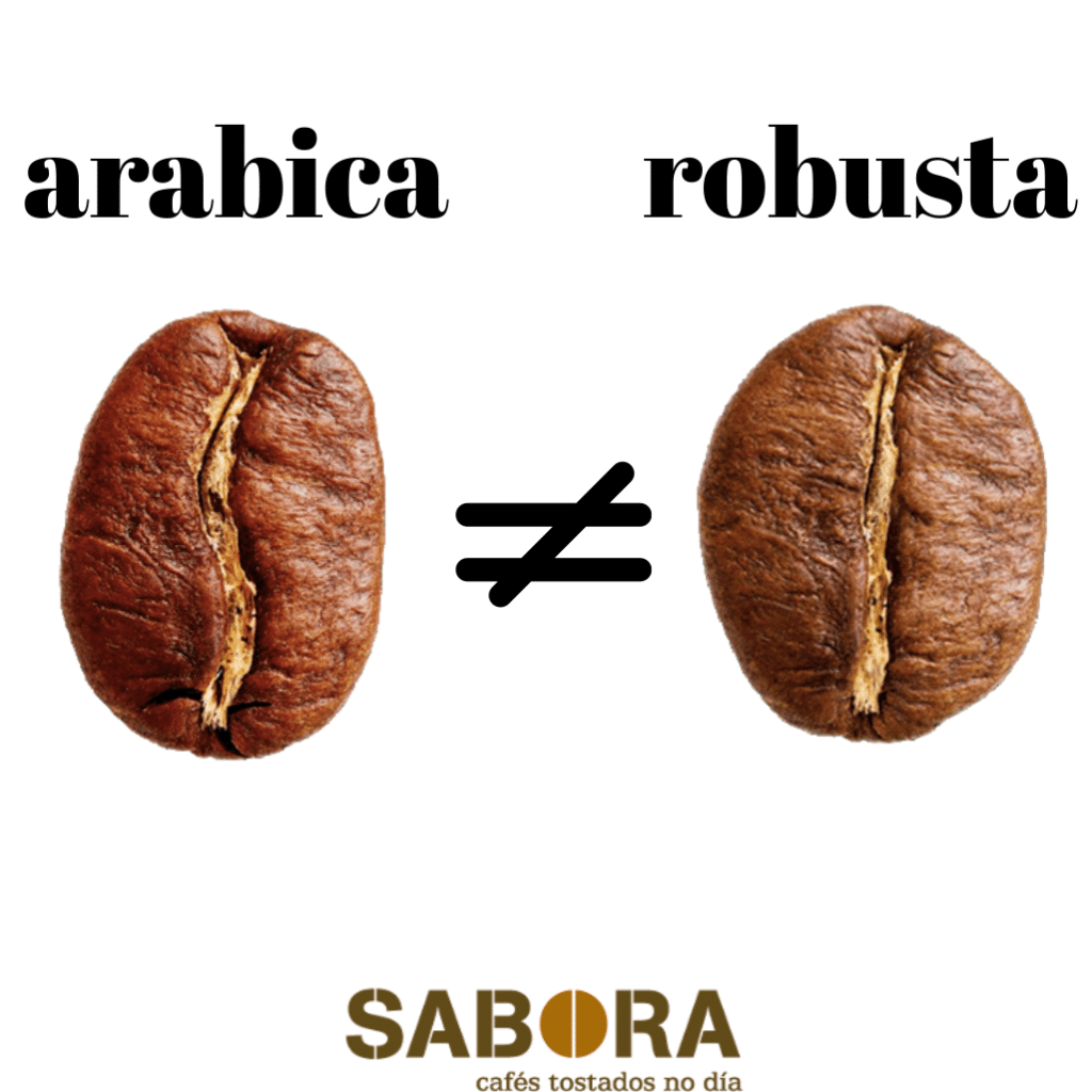 cual es la diferencia entre el cafe arabica y robusta